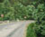 Weg Roemenië / Road Romania (2004)  - Acryl en olieverf op doek 40 x 50 cm  &euro;1.350,-